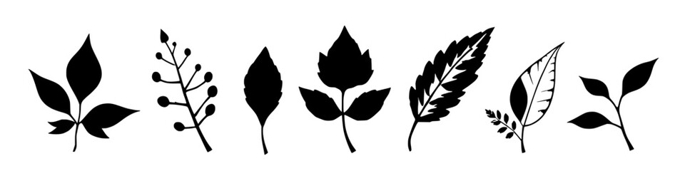 Various Leaf Shapes in Dark Silhouette Arranged in a Line on a White Background. © Arun