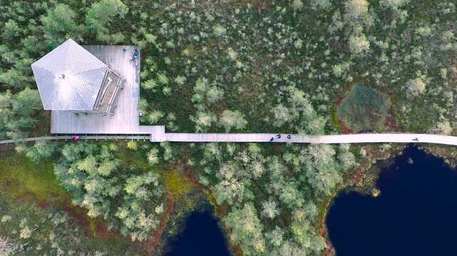Aerial view of Viru bog, nature park (Viru raba) with wooden boardwalk and observation tower, showing peat lakes, bog landscape and pine forest in Estonia.