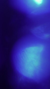 Light leak with flash lens flare vertical video processing