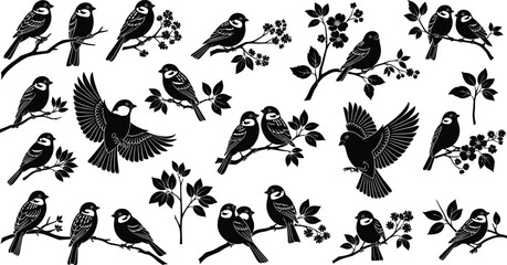 Bird silhouettes on branches, floral elements, flying and perched poses, nature vector, editable design, isolated, decorative wildlife artwork
