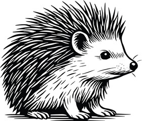 Fototapeta premium Adorable Hedgehog design- Cute Spiky Hedgehog Illustration - Forest Friend Clipart Design - Woodland Animal line art