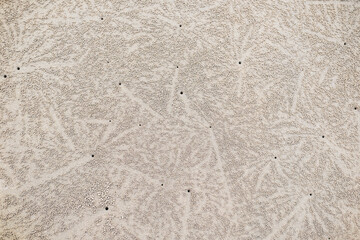 Circular sand patterns created by sand bubbler crabs while feeding on wet beach sand, forming thousands of tiny pellets that resemble natural coastal artwork.