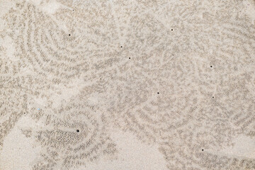 Circular sand patterns created by sand bubbler crabs while feeding on wet beach sand, forming thousands of tiny pellets that resemble natural coastal artwork.