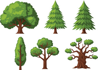 Cartoon tree collection vector illustration featuring deciduous evergreen pine and fantasy trees isolated natural forest elements set © Shuvo creative