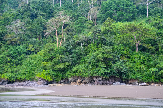Rajegwesi Beach in Meru Betiri National Park showcases a stunning meeting of dense tropical rainforest and the southern Java coastline, creating a pristine landscape rich in natural beauty.