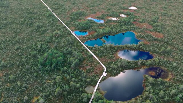 Aerial view of Viru bog, nature park (Viru raba) with wooden boardwalk and observation tower, showing peat lakes, bog landscape and pine forest in Estonia.