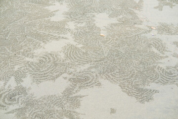 Circular sand patterns created by sand bubbler crabs while feeding on wet beach sand, forming thousands of tiny pellets that resemble natural coastal artwork.