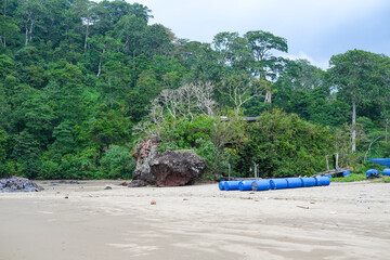 Rajegwesi Beach in Meru Betiri National Park showcases a stunning meeting of dense tropical...