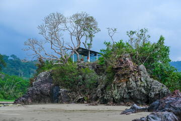 Dramatic coastal rock at Pantai Rajegwesi, Banyuwangi, with twisted bare trees atop rugged boulders used by locals for sesajen offerings, lush greenery, muddy beach at low tide under cloudy sky.