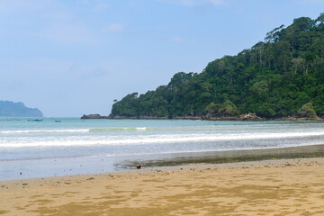 Rajegwesi Beach in Meru Betiri National Park showcases a stunning meeting of dense tropical rainforest and the southern Java coastline, creating a pristine landscape rich in natural beauty.