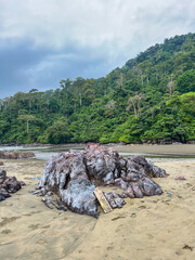 Rocky shoreline at Rajegwesi Beach inside Meru Betiri National Park, featuring coral rocks, calm waves, tropical forest backdrop, and overcast skies along the southern coast of Java.