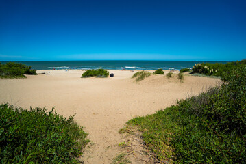 A beach with a car and people on it