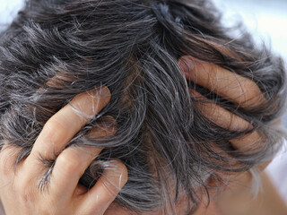 A woman showing her gray hair. Going gray concept. Close up.