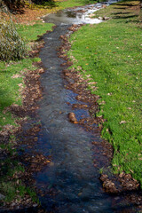 Obraz premium A tranquil park stream meanders through a bed of dried autumn leaves with tree trunks rising along the grassy embankments. The crisp fall lighting highlights the textures of the leaf litter.