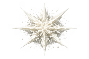 White liquid splash creating a dynamic star shape explosion with many droplets. Transparent background
