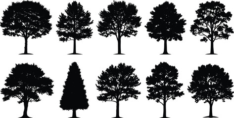 Fototapeta premium Tree silhouettes, black outlines, botanical shapes, foliage patterns, nature icons, landscape design, artistic trees, forest elements, plant forms, white background