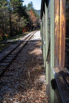 A scenic view from a vintage train window looking down parallel railroad tracks bordered by autumn leaves and tall pine trees under a clear blue sky. 