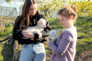 Two young women holding small goats on farm in sunny day, interaction with animals in nature