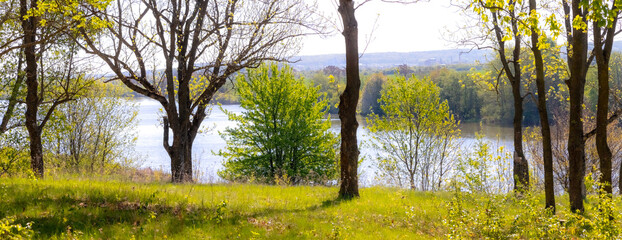 Scenic spring landscape with young green trees on the bank of a calm river under bright sunlight on a clear day