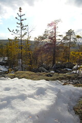 A mountain tundra landscape in Lapland in late spring, with snow still on the ground.
