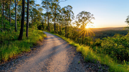 Serene pathway surrounded by lush greenery leads into distance, illuminated by radiant golden hour sunbeams