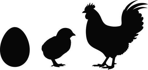 Fototapeta premium Chicken Life Cycle Egg Chick and Rooster Silhouettes