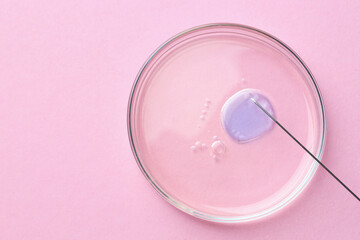 In vitro fertilization. Needle and petri dish with liquid sample on pink background, top view. Space for text
