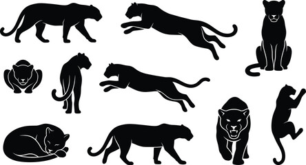 Big cat and monkey silhouettes, wild animal poses, jungle vector art, predator and primate design, nature illustration set © Ezazul Haque
