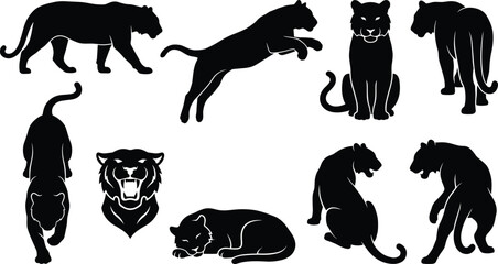 Black panther silhouettes, wild feline poses, jungle predator shapes, panther movement study, animal shadow art, wildlife vector illustration, design elements © Ezazul Haque
