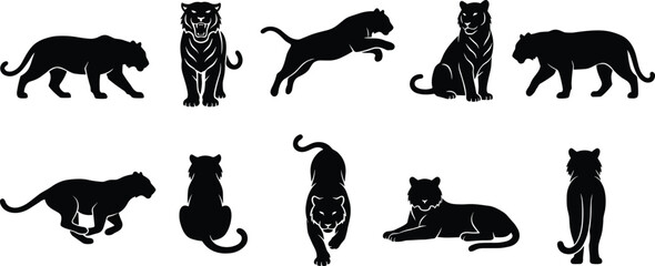 Black tiger and panther silhouettes, wild feline poses, jungle predator shapes, animal motion study, vector illustration, design elements, wildlife art © Ezazul Haque