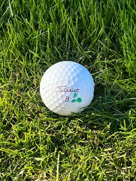 Seattle WA - January 9 2026 - A Titleist golf ball rests on bright gre