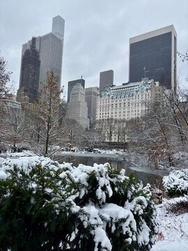Winter view from Central Park