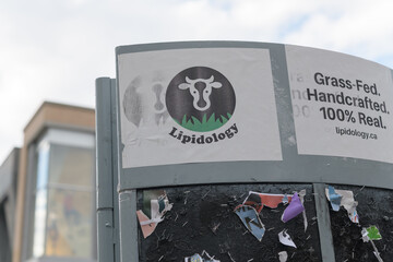Naklejka premium sticker for Lipidology ca the website for Lipidology, a family-owned, Canadian skincare company based in Toronto that specializes in organic, beef-tallow-based products (seen on Queen W)