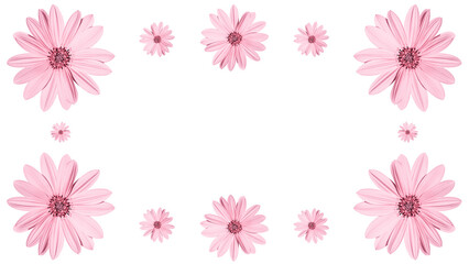 Floral frame with vibrant pink flowers,creating a bold natural border with central copy space for banners, invitations, templates and seasonal designs.