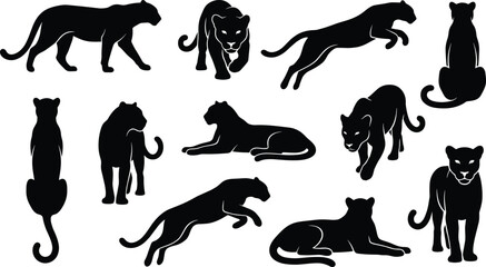 Big cat silhouette set, panther poses, leopard vector graphic, crouching feline icon, walking wild cat illustration, sitting panther clipart, lying leopard design, feline motion study © Mahamudul