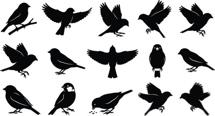 Obraz premium Bird silhouettes, flying birds, perched birds, black shapes, wing positions, gray background, nature art, educational, design resource, avian diversity