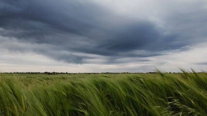 Storm clouds over green field