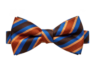 Brown and Blue Diagonal Striped Bow Tie with Satin and Textured Fabric Detail