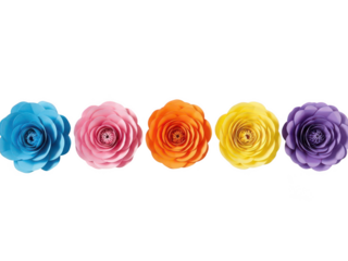 Five Vibrant Gradient Roses in Blue Pink Orange Yellow and Purple Isolated on Black