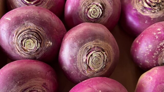 Red turnips neatly arranged on the greengrocer's counter, tracking shot on red turnips
