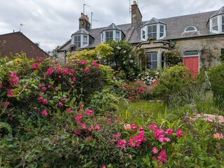 Overgrown Abandoned Garden