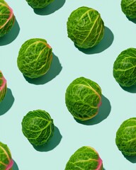 Cabbage Pattern on Pastel Blue – Minimalist Vegetable Background with Sunlight