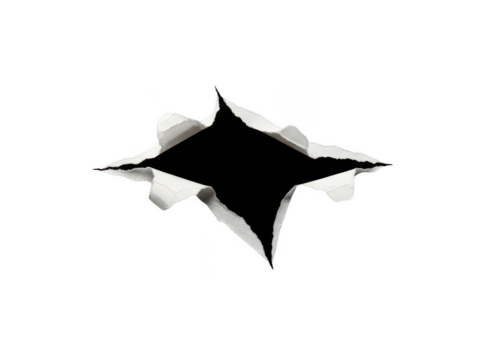 Minimalist Black and White Abstract Geometric Bird Silhouette Outline - Powered by Adobe