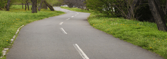empty curvy lined asphalt road in the middle of park forest during the day  Nobody no people