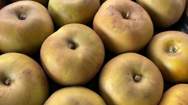 Rennet apples neatly arranged in a cardboard box, tracking shot on gray apple