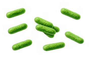 Green rod-shaped bacteria or probiotic lactobacillus, microscopic microorganisms floating on transparent background