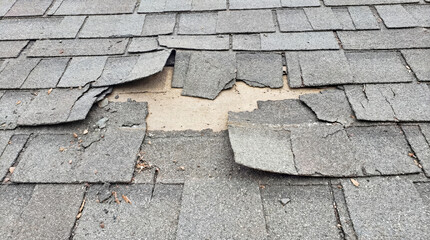 Damaged Asphalt Shingle Roof