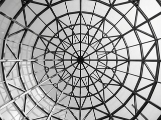 Symmetrical View of Glass Dome Ceiling with Geometric Steel Frames