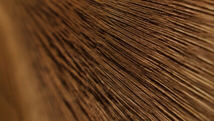 Obraz premium Brown Feather Texture