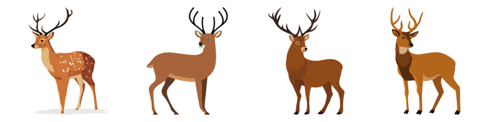 Fototapeta premium deer animal mammal antlers stag doe fawn Flat Vector Illustration on Transparent Background